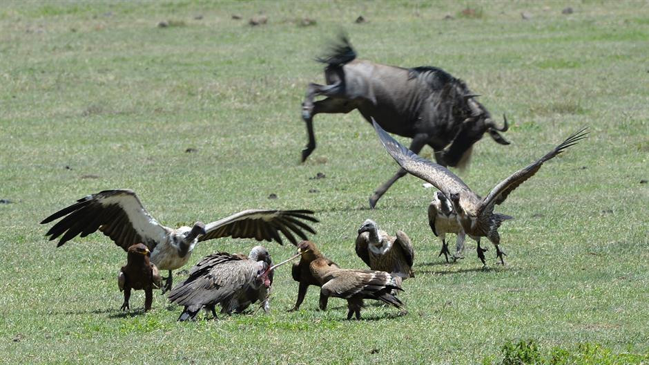 aa_picture_20150218_4577574_high