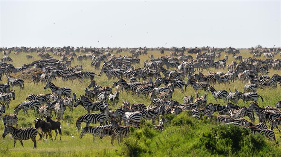 aa_picture_20150218_4577582_high