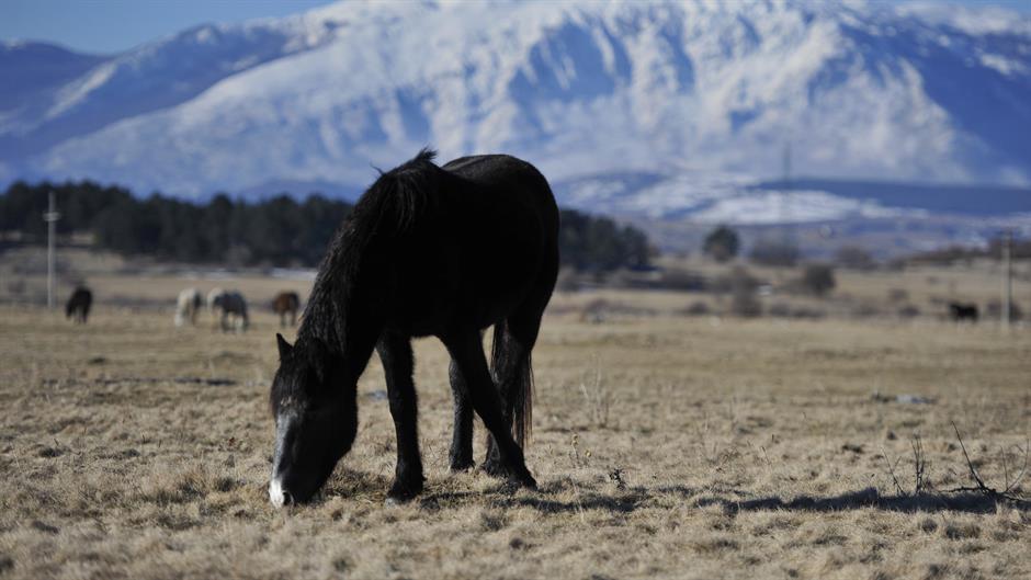 aa_picture_20150219_4583251_high