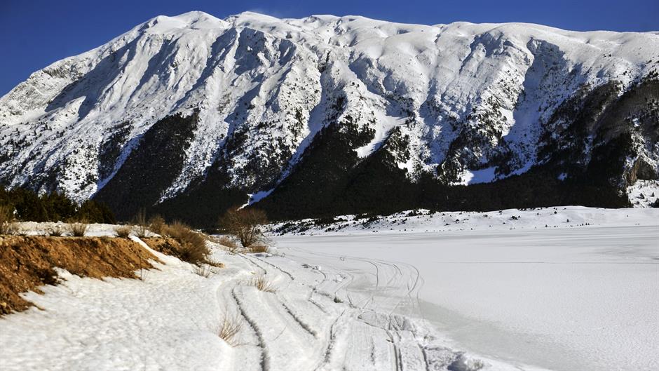 aa_picture_20150219_4583512_high