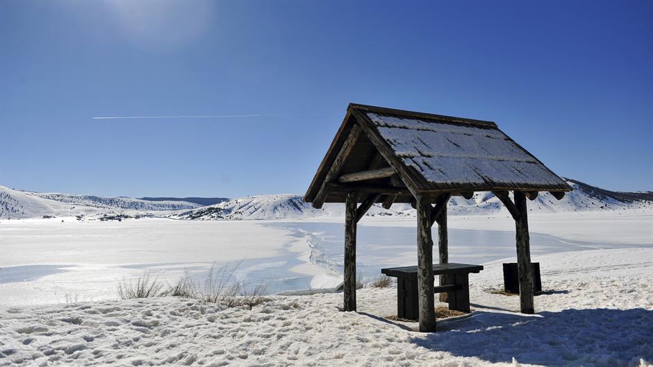 aa_picture_20150219_4583513_high