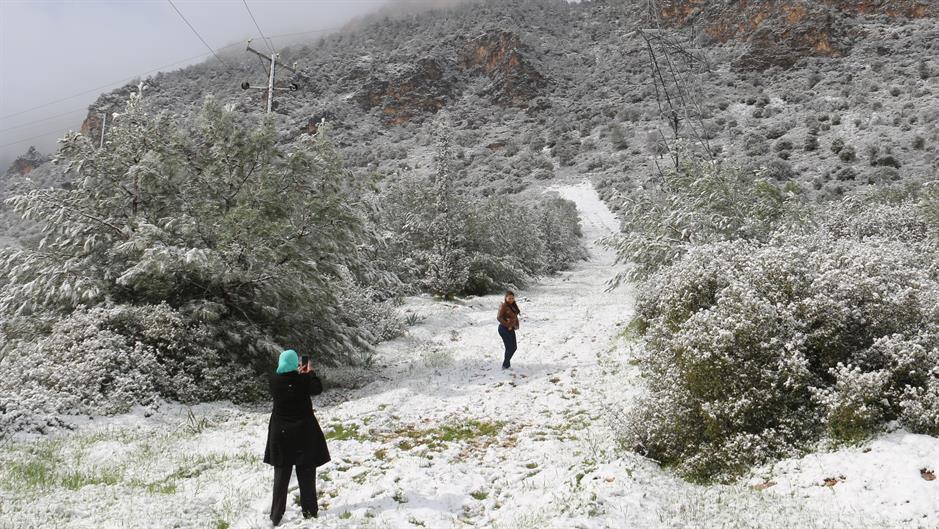 aa_picture_20150219_4590936_high