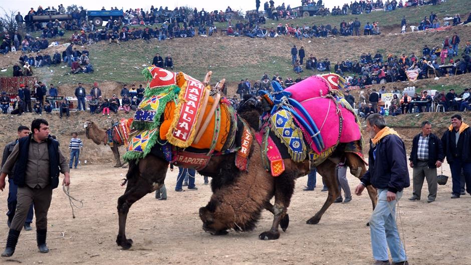 aa_picture_20150222_4615316_high