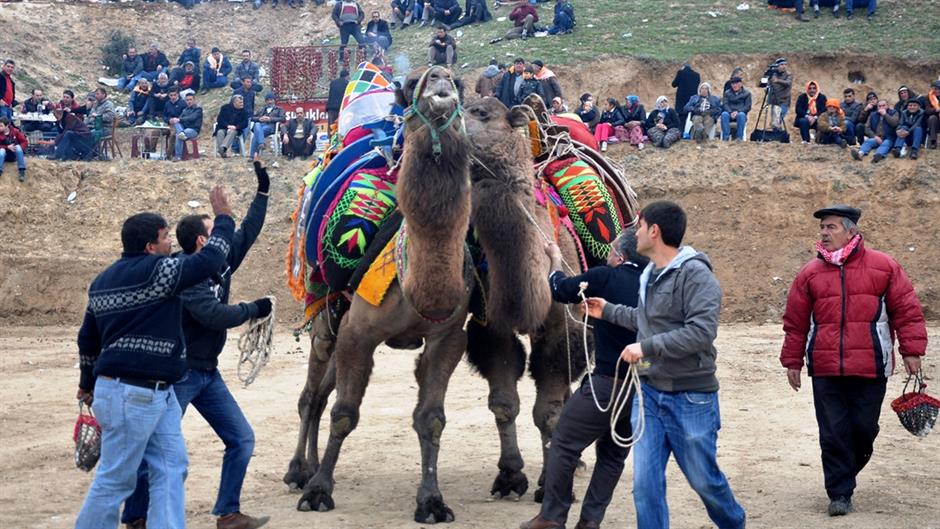 aa_picture_20150222_4615317_high