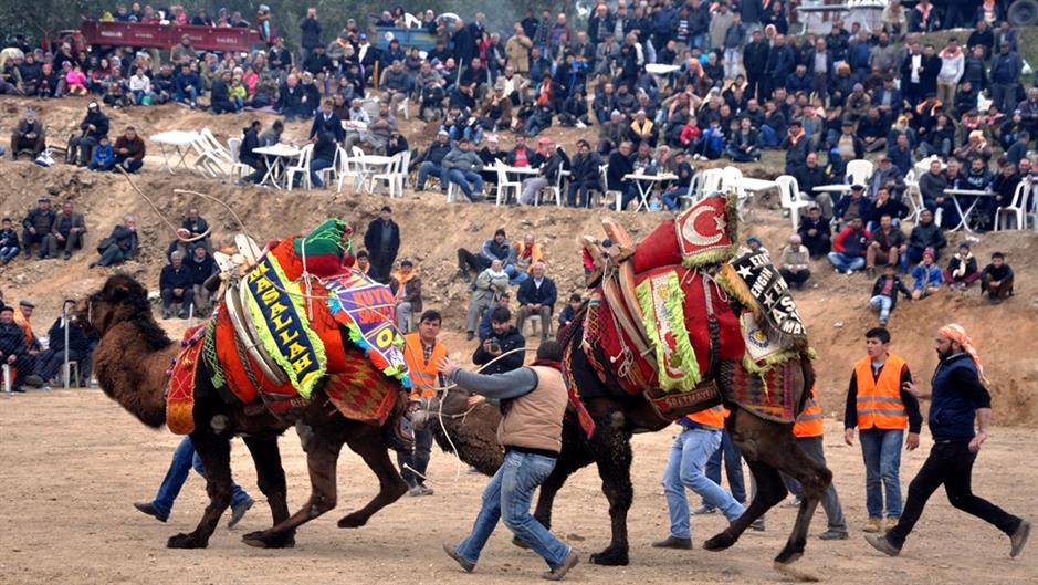 aa_picture_20150222_4615318_high