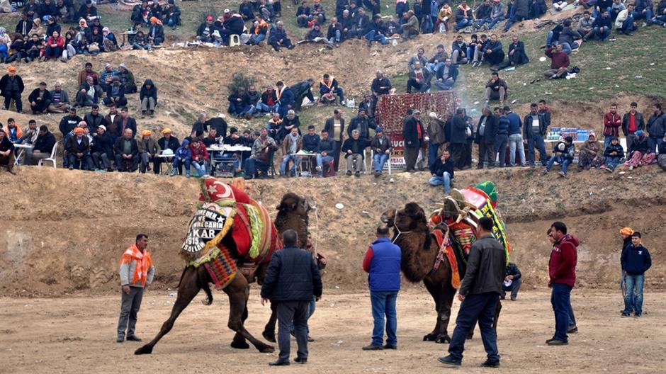 aa_picture_20150222_4615319_high