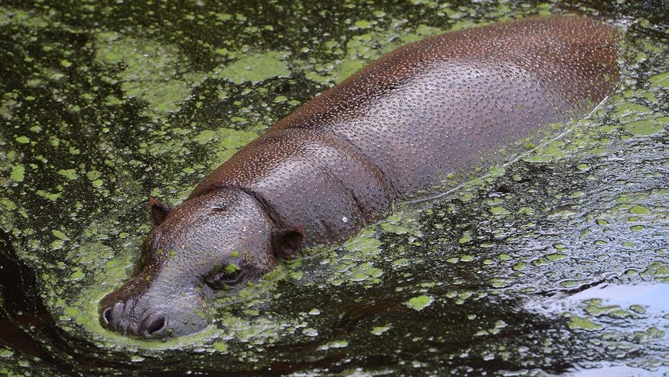 aa_picture_20150301_4669212_high