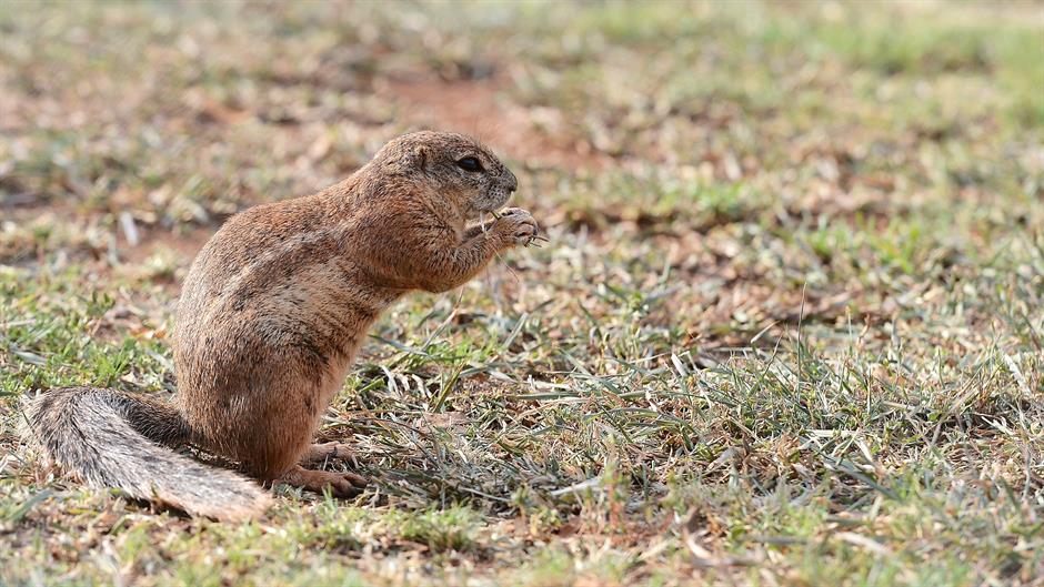 aa_picture_20150301_4669213_high