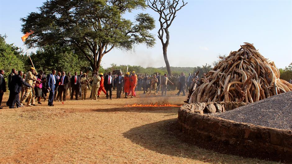 aa_picture_20150304_4693333_high