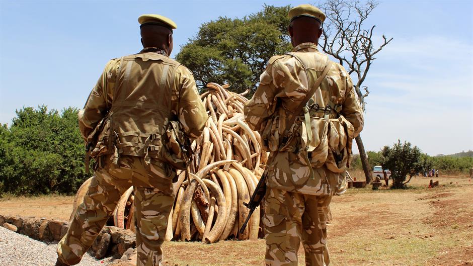 aa_picture_20150304_4693334_high