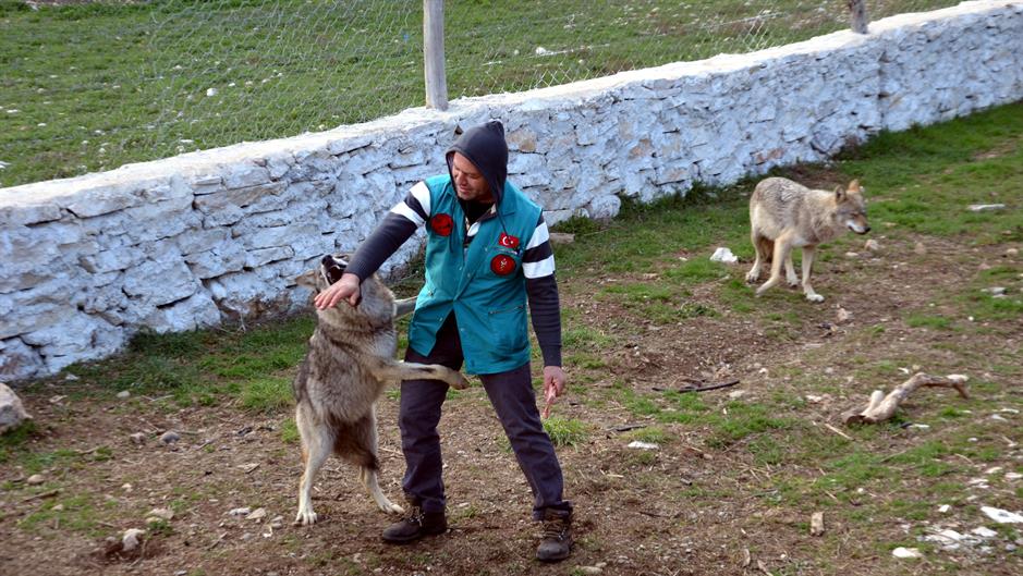 aa_picture_20150317_4807612_high