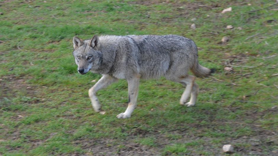 aa_picture_20150317_4807616_high