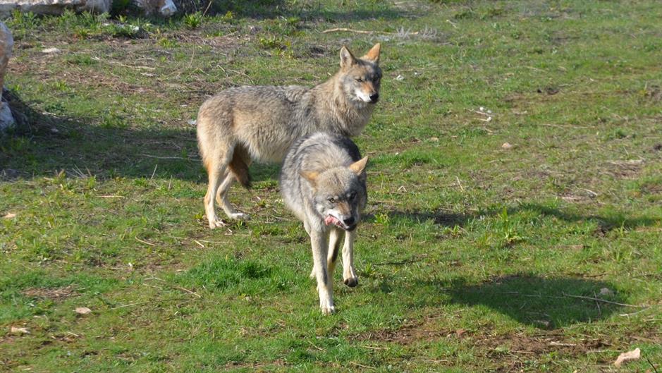 aa_picture_20150317_4807617_high