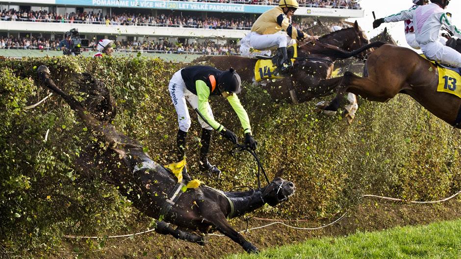 aa_picture_20150318_4810229_high