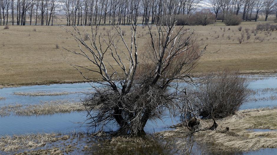 aa_picture_20150321_4843823_high