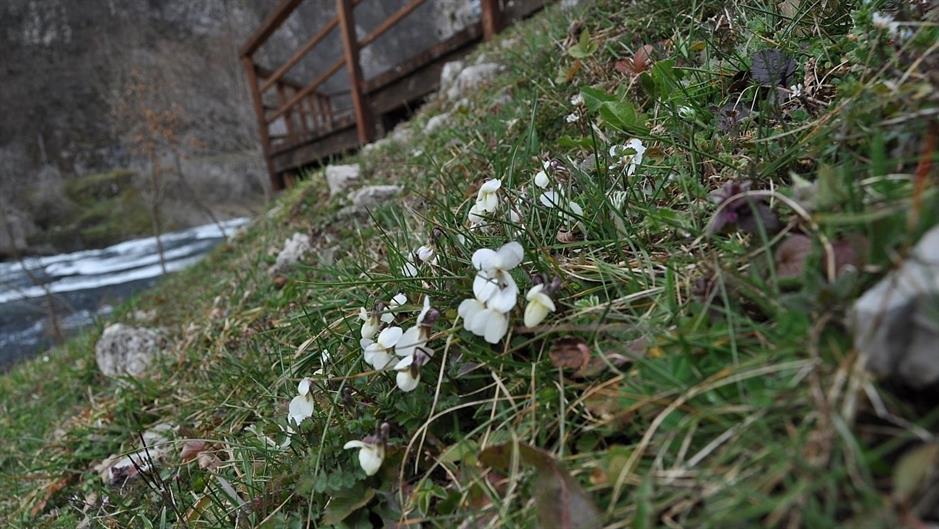 aa_picture_20150325_4873810_high