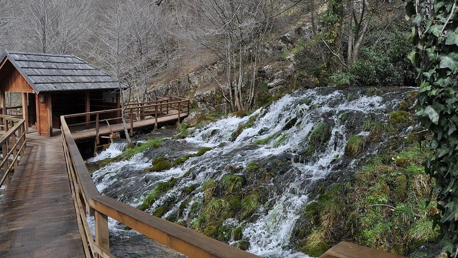 aa_picture_20150325_4873815_high