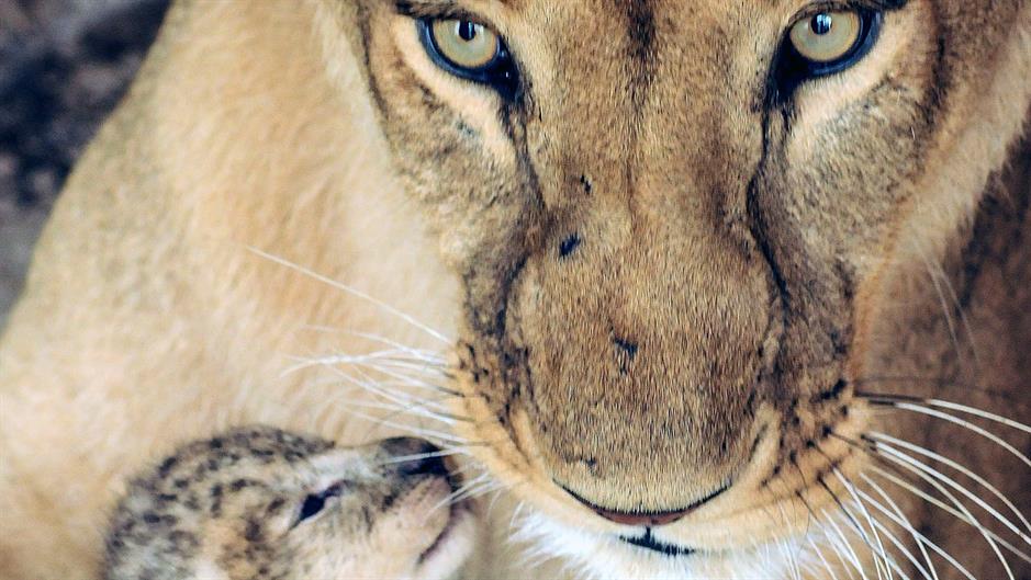 aa_picture_20150326_4888662_high