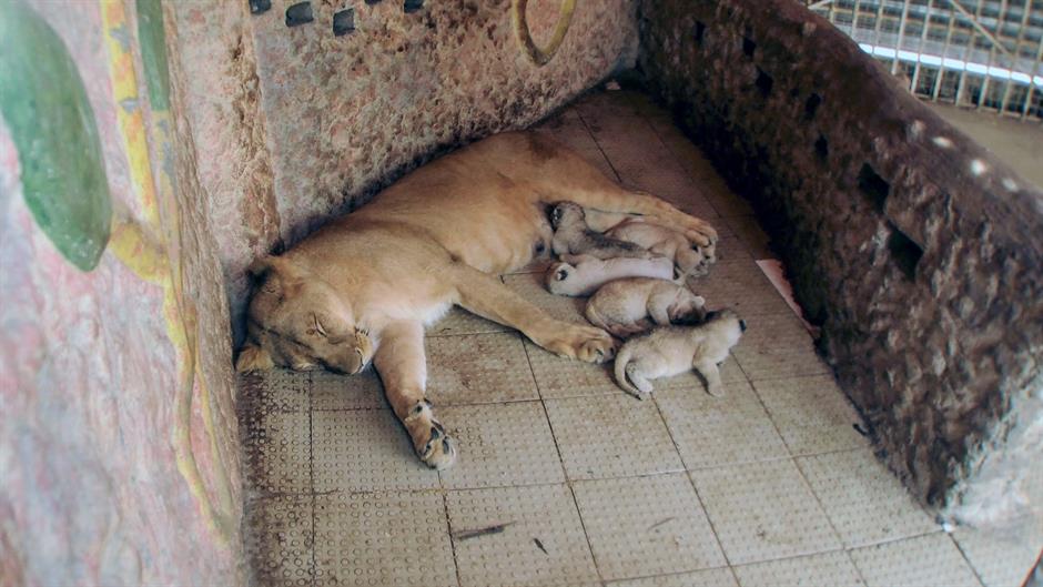 aa_picture_20150326_4888664_high