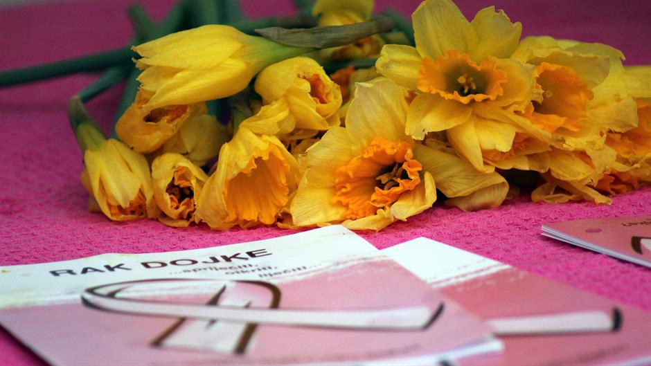 aa_picture_20150328_4903845_high