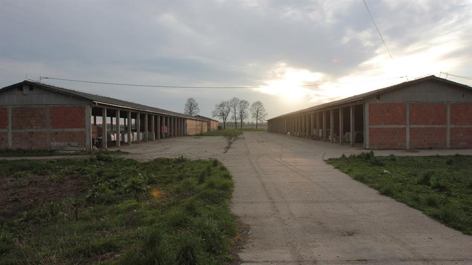 aa_picture_20150401_4931706_high