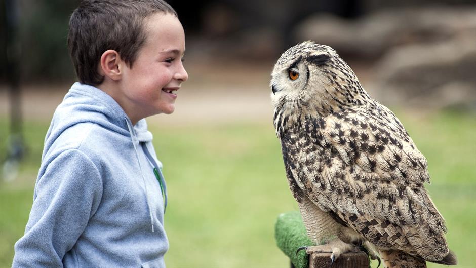 aa_picture_20150407_4987053_high