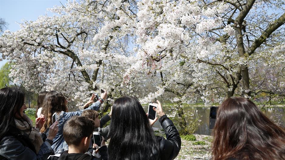 aa_picture_20150409_5002250_high