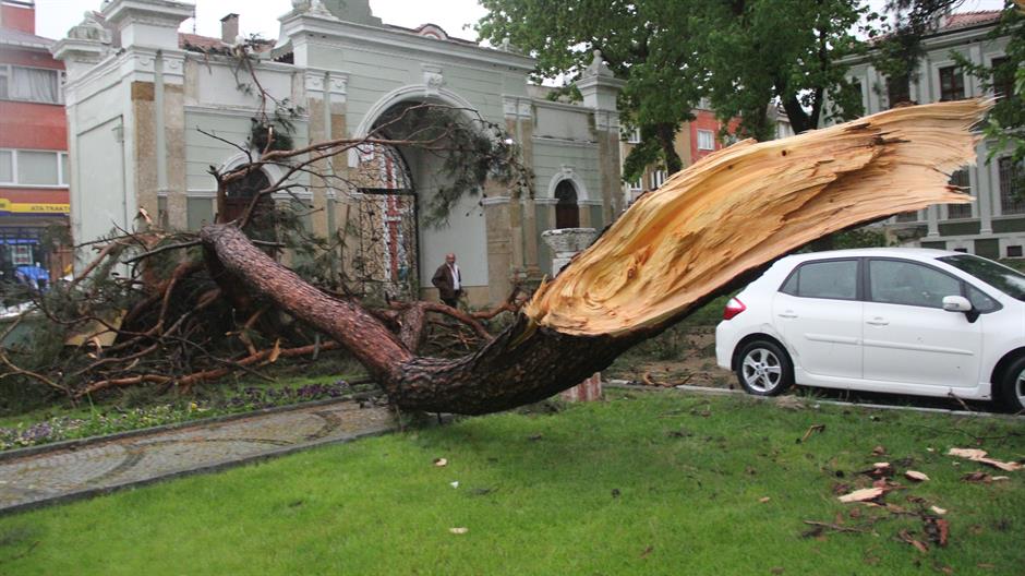 aa_picture_20150507_5262181_high