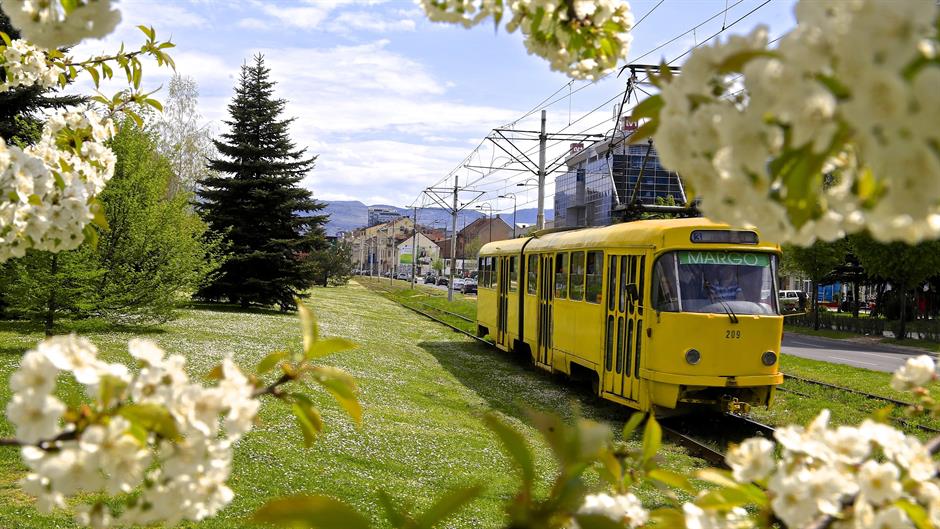 aa_picture_20150510_5283196_high