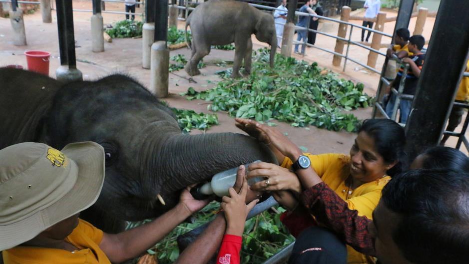 aa_picture_20150519_5375821_high