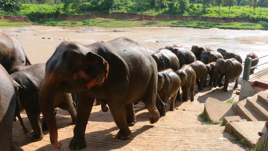 aa_picture_20150519_5375837_high