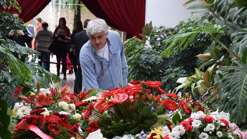 aa_picture_20150525_5440497_high