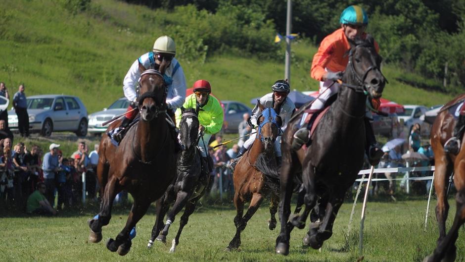 aa_picture_20150529_5485641_high