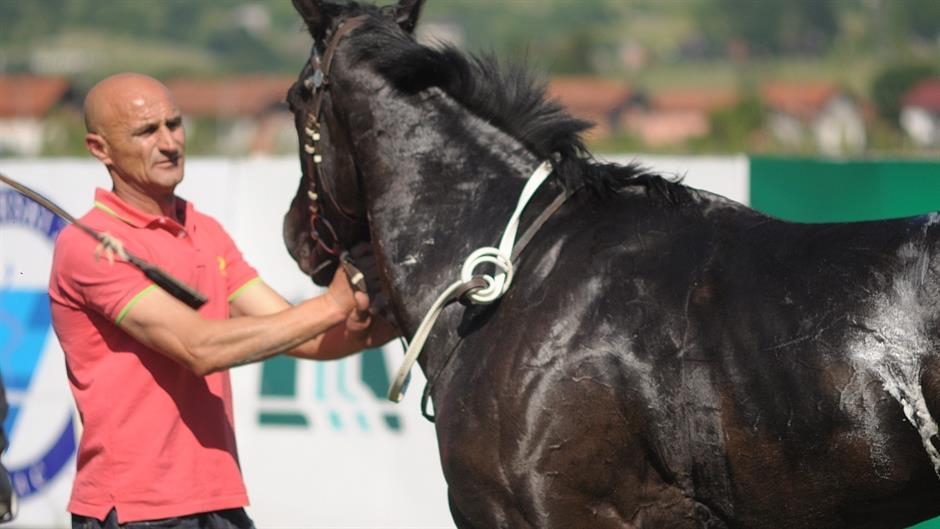 aa_picture_20150529_5485643_high