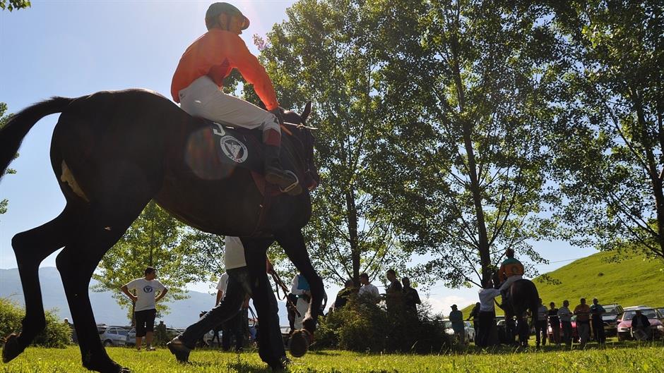 aa_picture_20150529_5485644_high