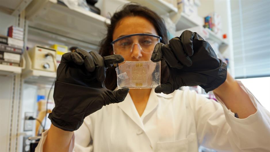 aa_picture_20150602_5517906_high