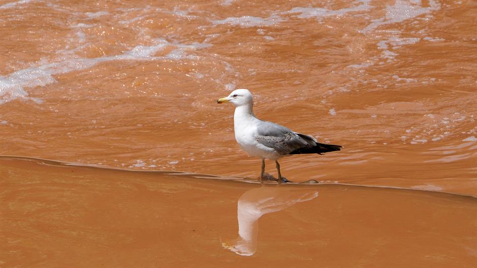 aa_picture_20150614_5622495_high