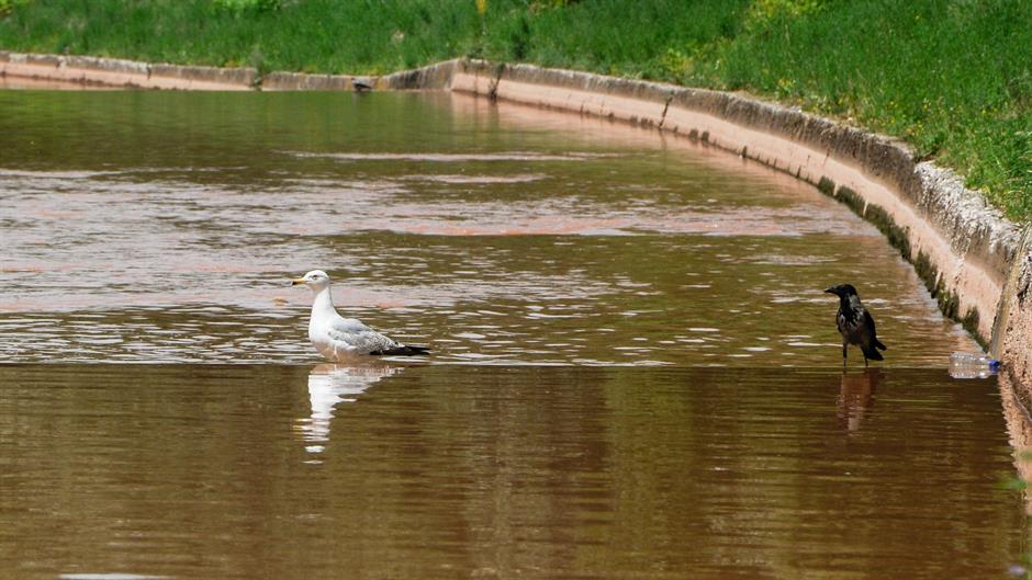 aa_picture_20150614_5622497_high