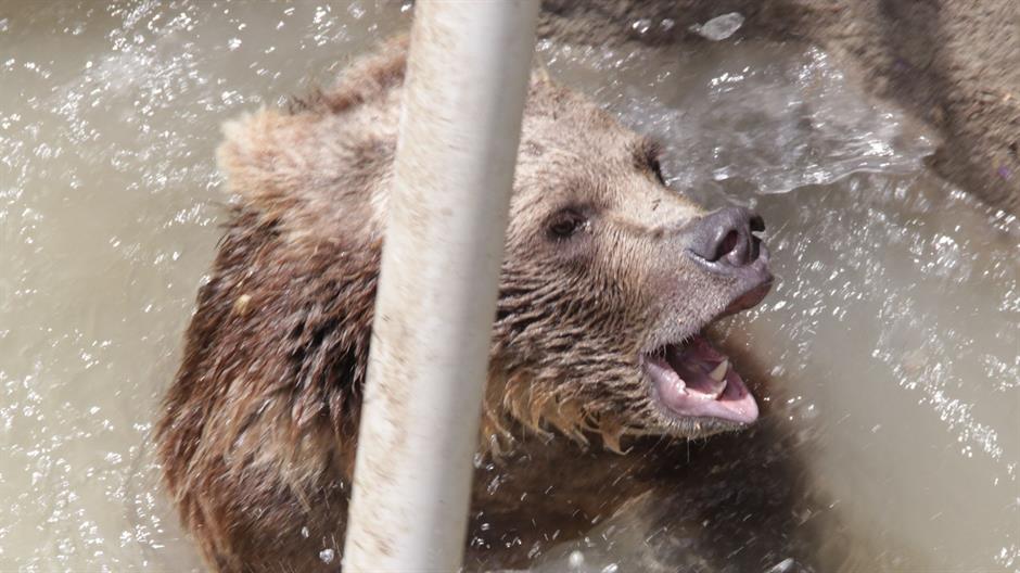 aa_picture_20150615_5631288_high