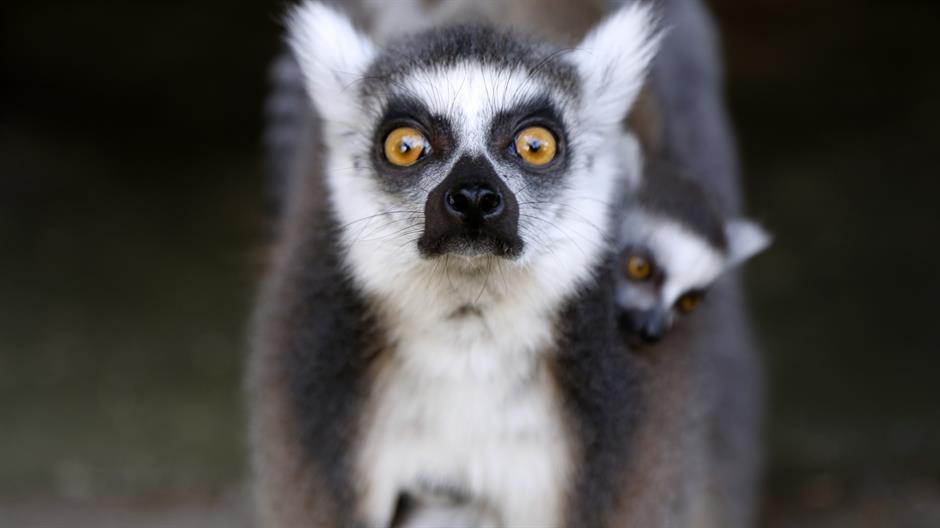 aa_picture_20150706_5789856_high