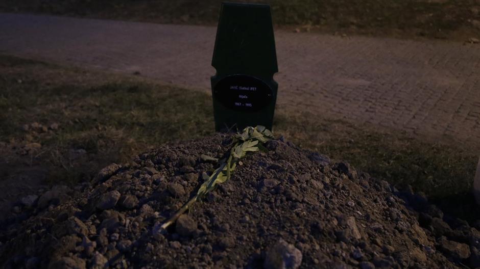 aa_picture_20150711_5833315_high