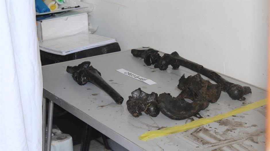 aa_picture_20150721_5898458_high