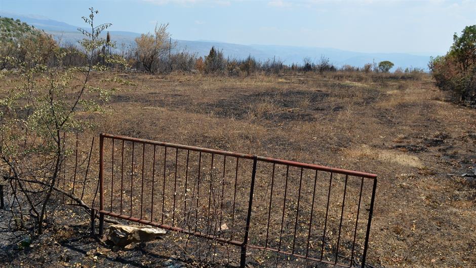 aa_picture_20150721_5899582_high