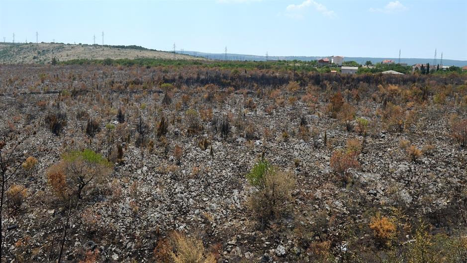 aa_picture_20150721_5899589_high