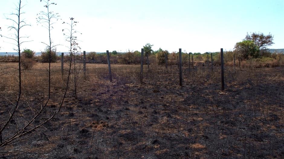 aa_picture_20150722_5906237_high