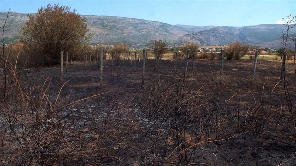 aa_picture_20150722_5906238_high