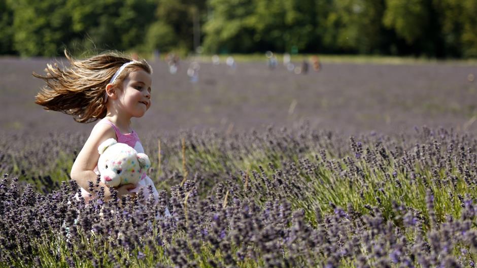 aa_picture_20150803_5981969_high