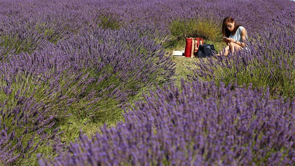 aa_picture_20150803_5981976_high