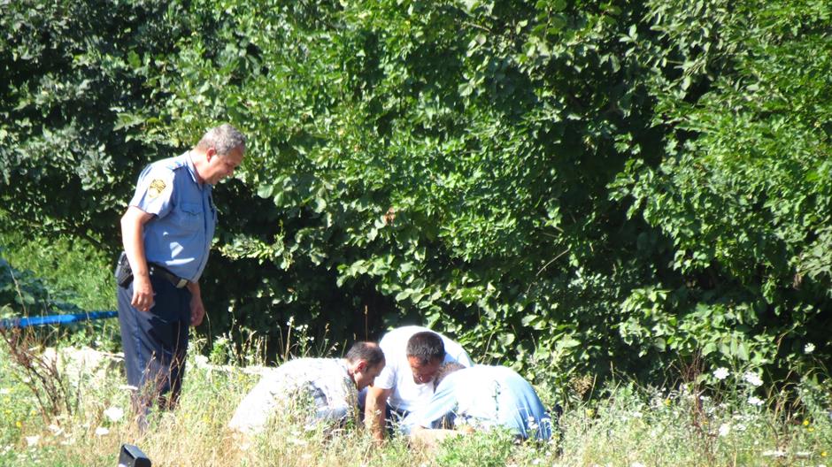 aa_picture_20150810_6028960_high