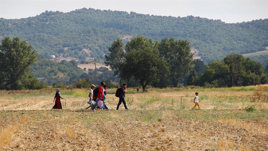 aa_picture_20150822_6106563_high